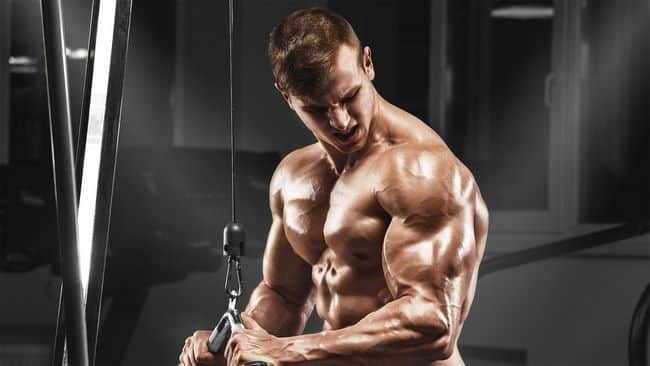 Steroids and Their Positive Influence on Accelerating Muscle Recovery in Bodybuilding